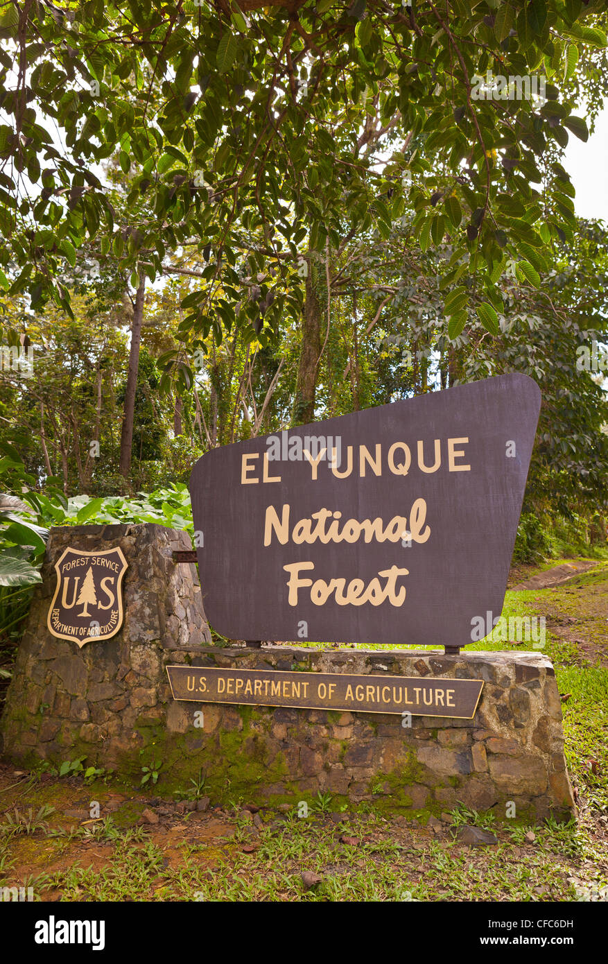 Forêt nationale de El Yunque, PUERTO RICO - Forêt nationale de El Yunque signe. Banque D'Images