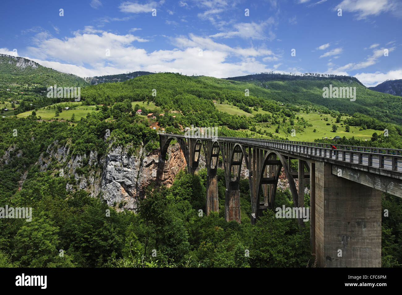 Vue sur le pont de Tara Tara et Valley sous ciel nuageux, Monténégro, Europe Banque D'Images