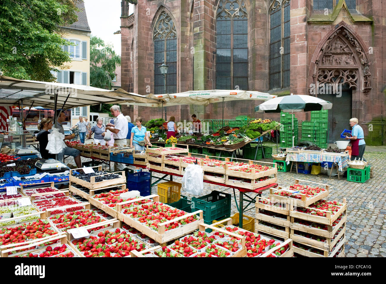 La place du marché à Minster, Freiburg Minster en arrière-plan, Freiburg im Breisgau, Baden-Wurttemberg, Allemagne Banque D'Images