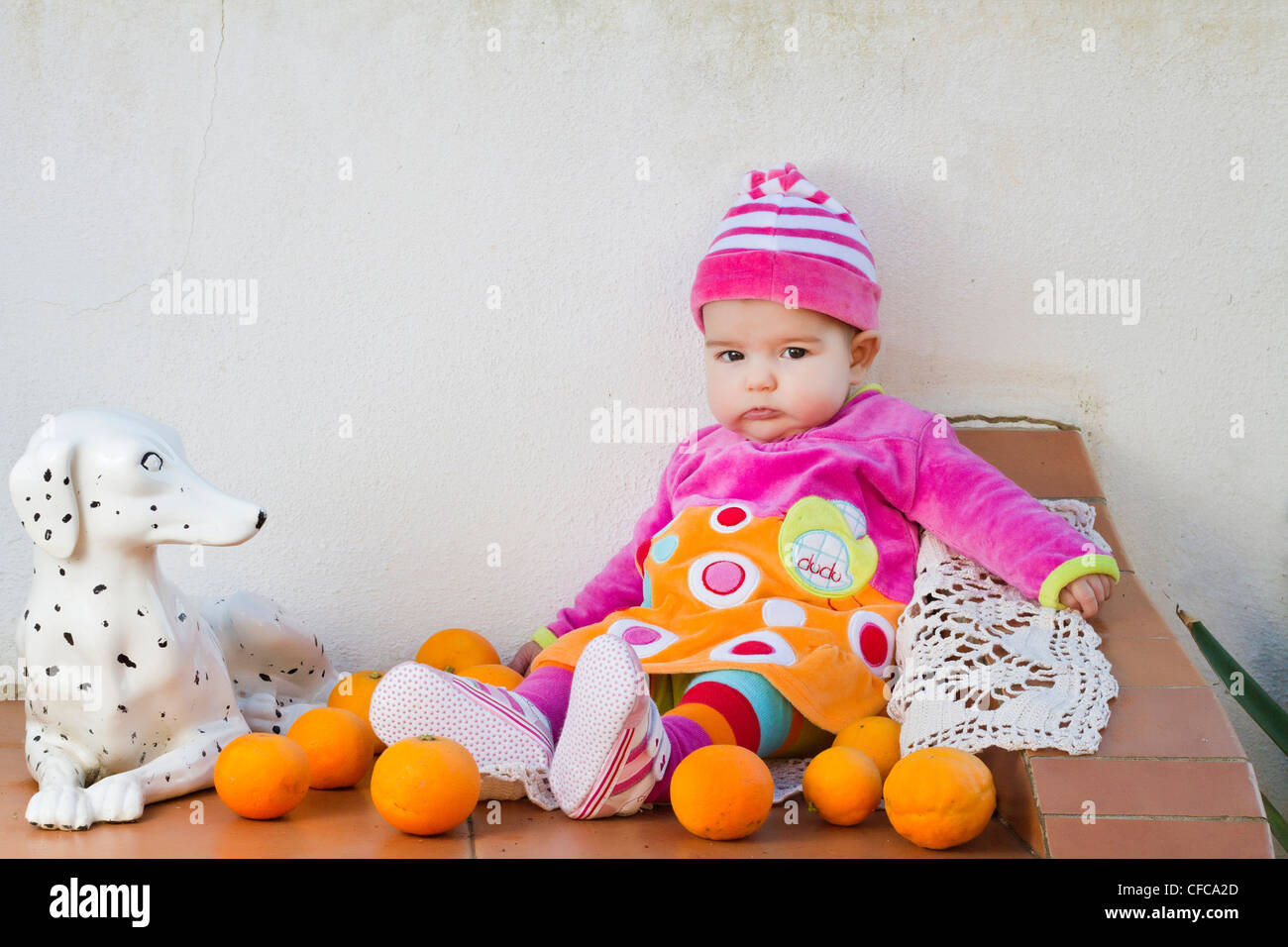 Porcelain Dog Banque D Image Et Photos Alamy