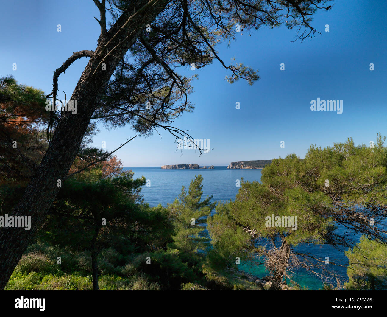 Voir l'Sfaktira Island, dans la baie de Navarin, Pylos, Péloponnèse, Grèce Banque D'Images