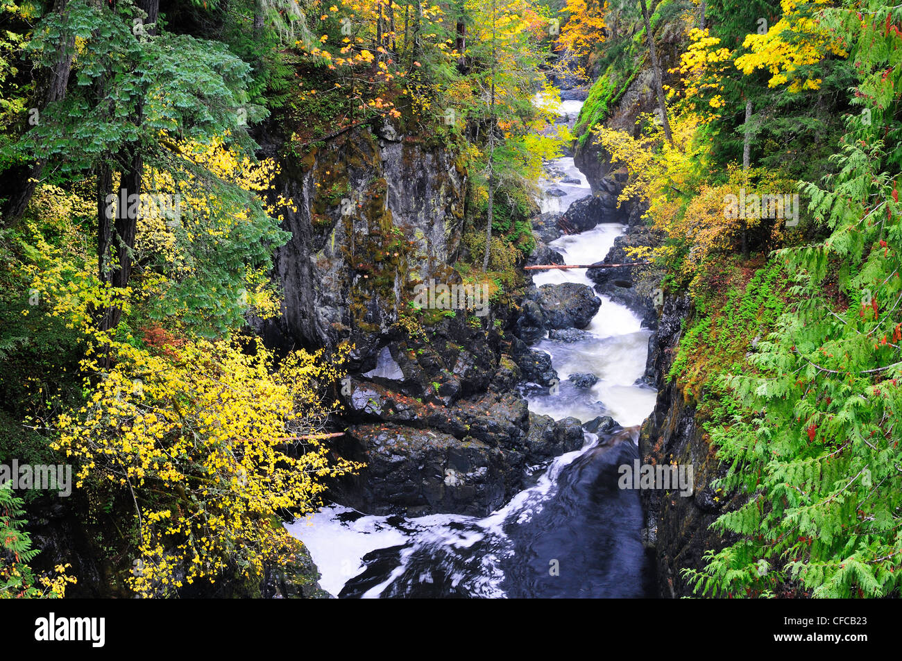 Entre la partie supérieure et inférieure tombe à la rivière Englishman Falls Provincial Park près de Parksville, Colombie-Britannique, Canada Banque D'Images