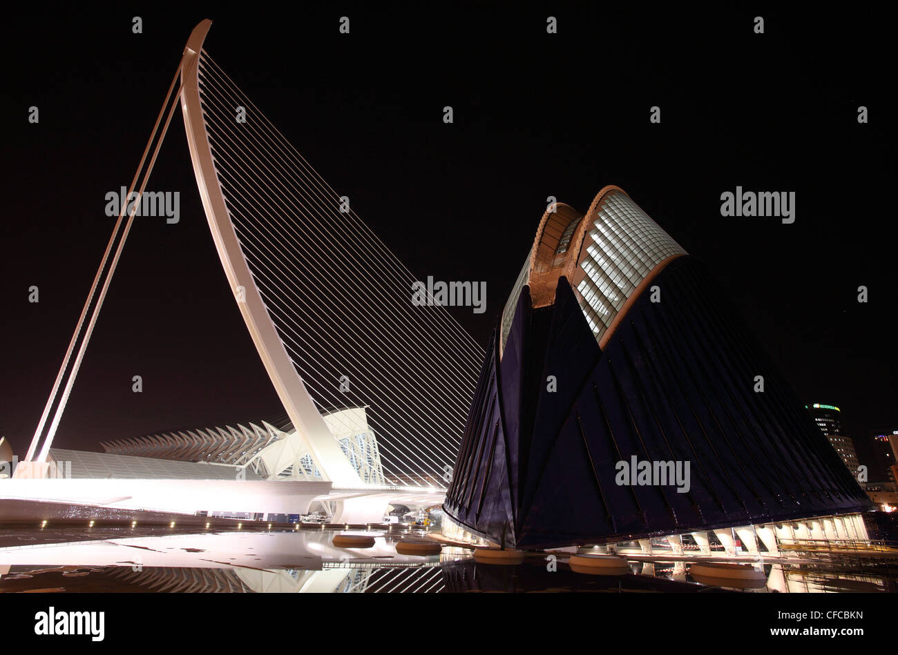 Agora, architecte Santiago Calatrava, Valencia, Espagne Banque D'Images