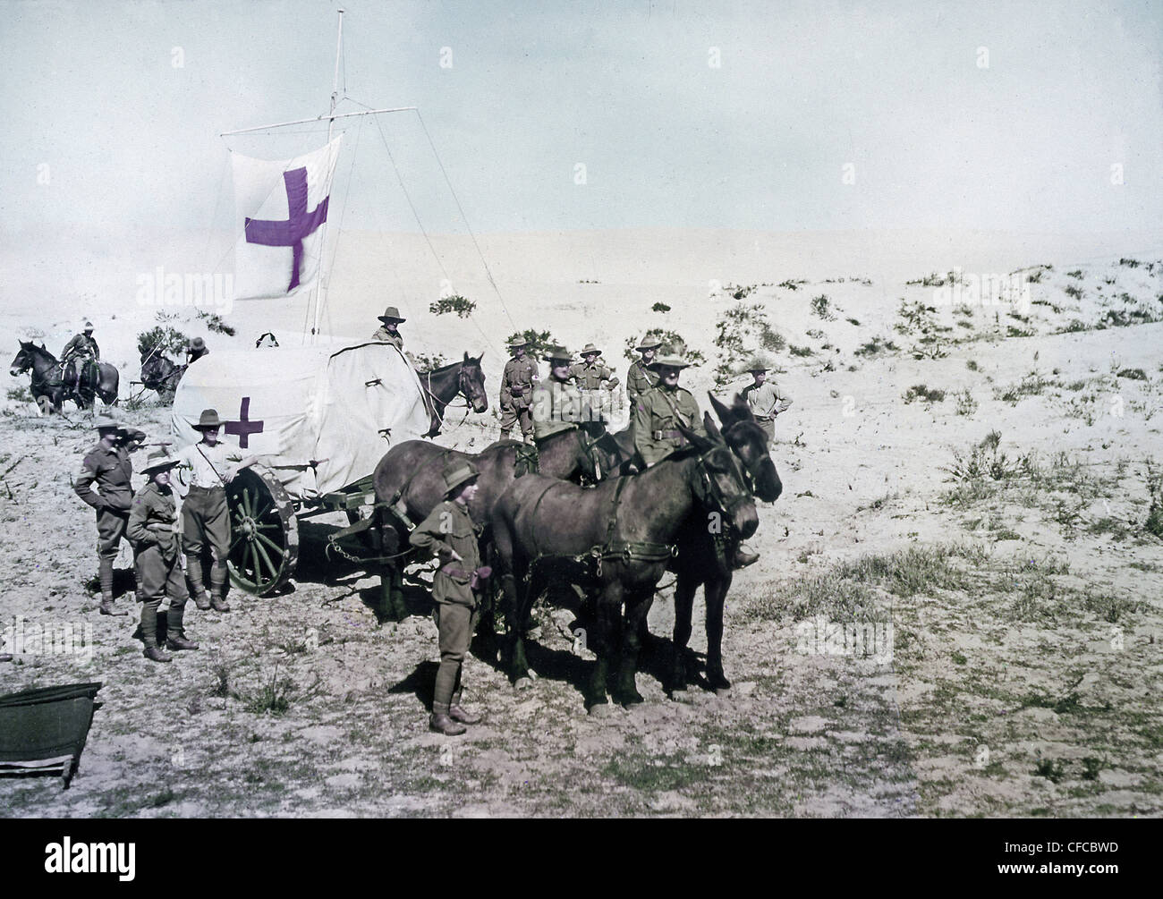 Australian Light Horse, pompiers, ambulance, wagon, Empire Ottoman, le Moyen-Orient, la Première Guerre mondiale, guerre, guerre mondiale, 1914-1918, Pa Banque D'Images