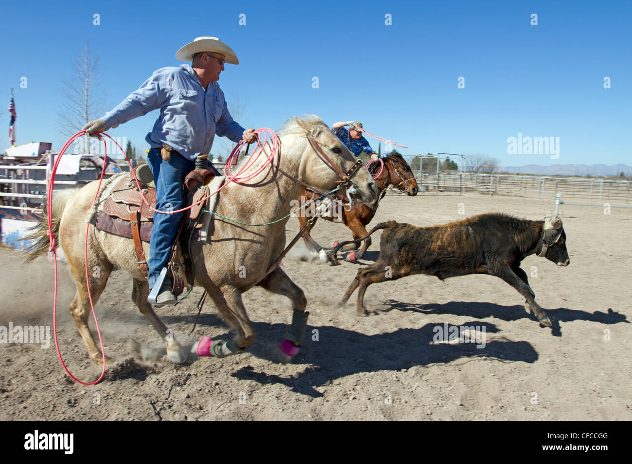 Team roping événement dans une petite ville de l'ouest du Texas. Banque D'Images