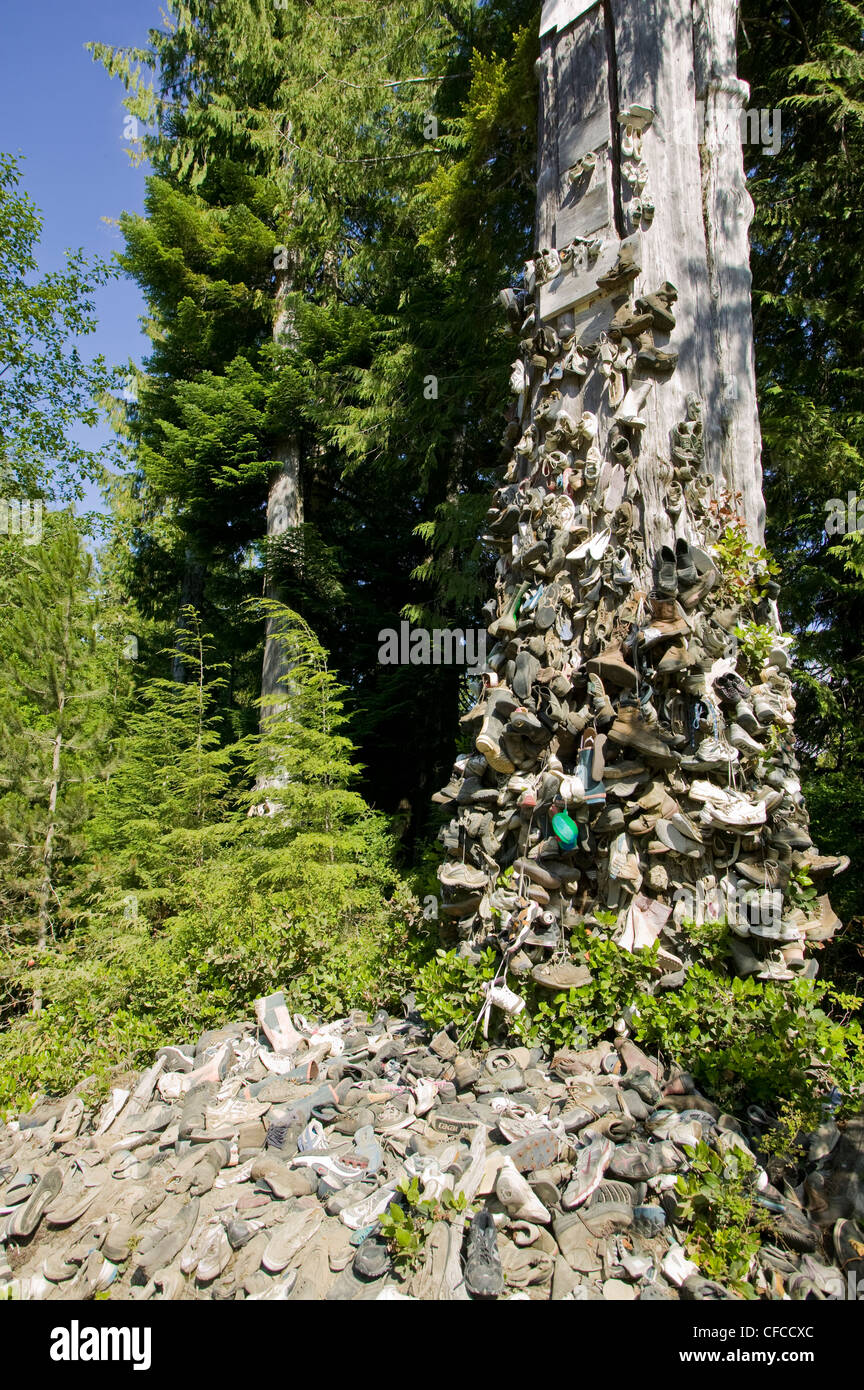 Le 'Shoe Tree', en route pour Cape Scott, Nord de l'île de Vancouver, Colombie-Britannique, Canada. Banque D'Images