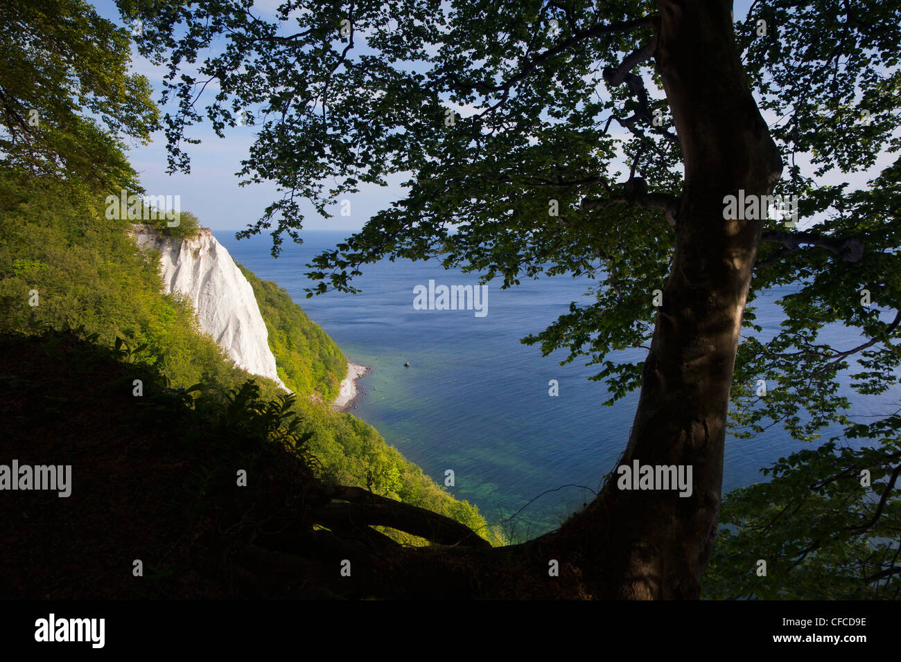 Vue depuis le Victoria vue sur la falaise de craie Koenigstuhl, parc national de Jasmund, Ruegen island, mer Baltique, mer Banque D'Images