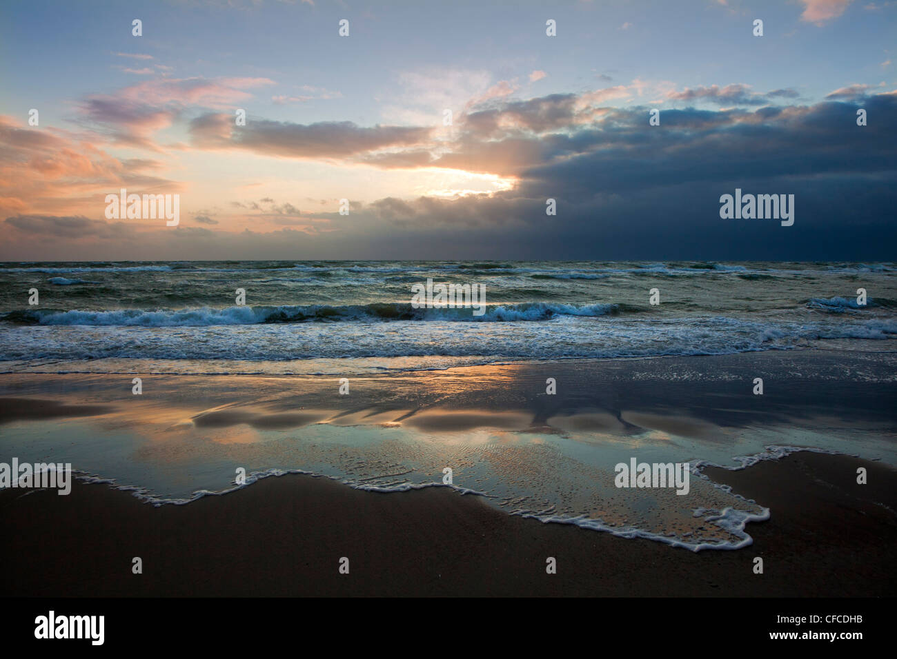 Darss plage ouest au crépuscule, Fischland-Darss-Zingst, mer Baltique, Schleswig-Holstein, Allemagne Banque D'Images