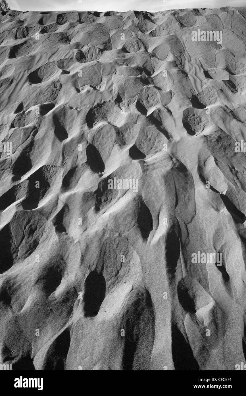 Télévision Mesquite Sand Dunes in Death Valley, California, USA Banque D'Images