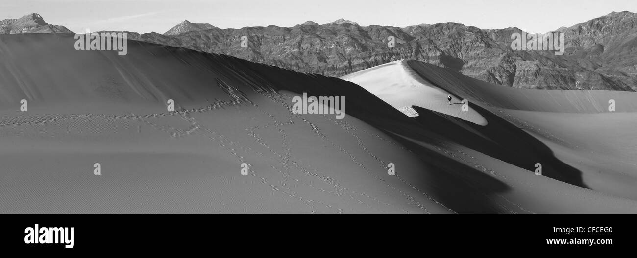 Télévision Mesquite Sand Dunes in Death Valley, California, USA Banque D'Images