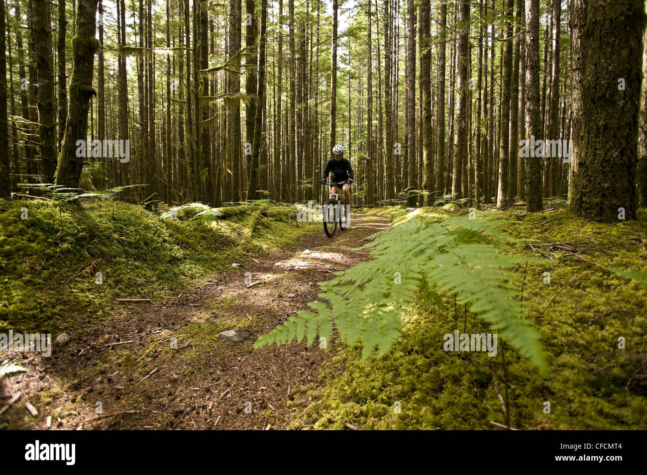 Mountain bike rider voyages le long de Old logging Banque D'Images