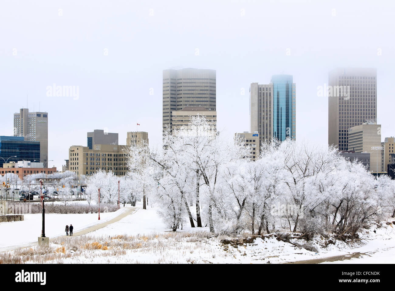 Le centre-ville de Winnipeg sur les toits d'un jour d'hiver glacial. Winnipeg, Manitoba, Canada. Banque D'Images