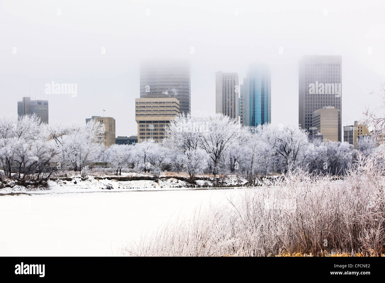 Le centre-ville de Winnipeg et les toits de la rivière Rouge congelé sur un jour d'hiver glacial. Winnipeg, Manitoba, Canada. Banque D'Images