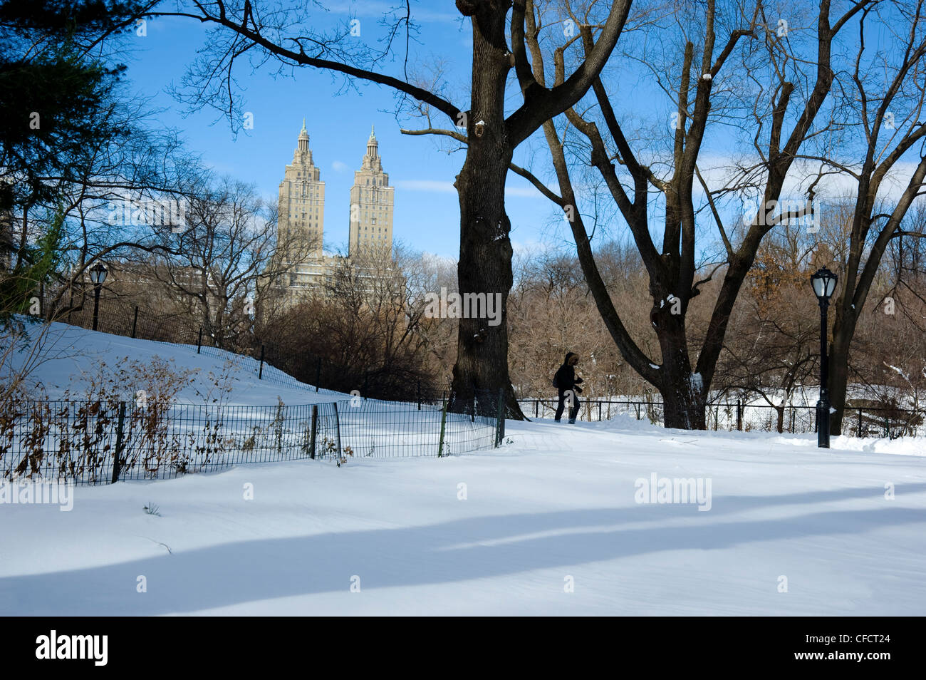 Neige fraîche dans Central Park, New York, État de New York, États-Unis d'Amérique, Banque D'Images