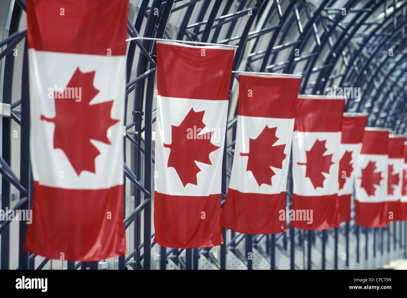 Rangée de drapeaux canadiens à l'allée menant à la tour CN, Toronto, Ontario, Canada. Banque D'Images