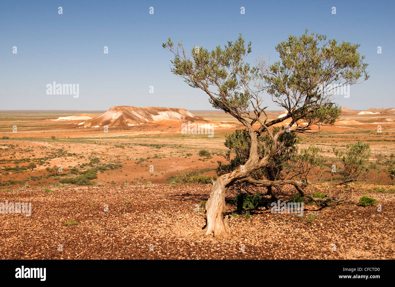 Les échappées, Painted Desert, Coober Peedy, Australie du Sud, Australie, Pacifique Banque D'Images