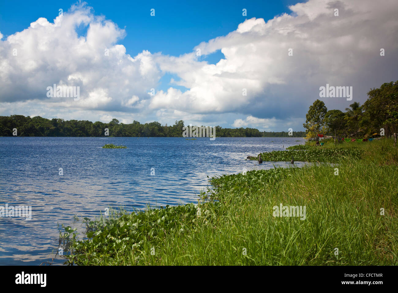 Yavinoco Village, rivière Manamo, Delta Amacuro, Orinoco Delta, le Venezuela, l'Amérique du Sud Banque D'Images