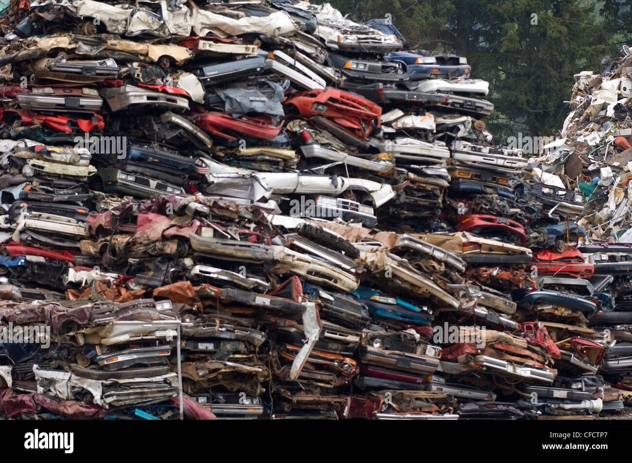 Des piles de voitures obsolètes au chantier de recyclage, l'île de Vancouver, Colombie-Britannique, Canada Banque D'Images