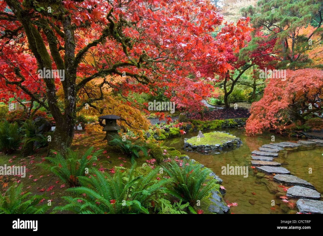 Jardin japonais en automne à l'Butchart Gardens, Victoria, île de Vancouver, Colombie-Britannique, Canada Banque D'Images