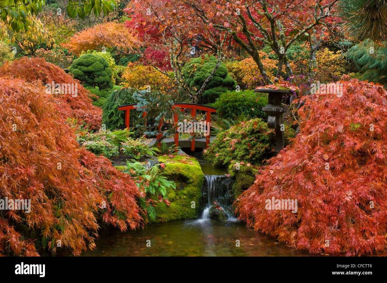 Jardin japonais en automne à l'Butchart Gardens, Victoria, île de Vancouver, Colombie-Britannique, Canada Banque D'Images