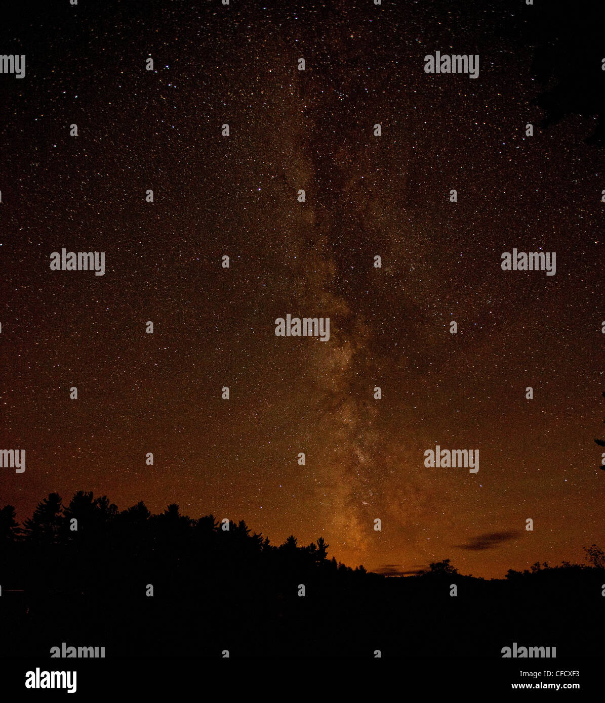 Voie lactée dans le ciel au-dessus du parc Algonquin, Ontario, Canada. Banque D'Images