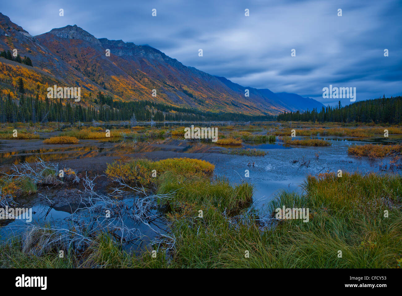 Au cours de l'exposition de nuit à l'extérieur, Annie Lake Whitehorse, Yukon, Canada. Banque D'Images