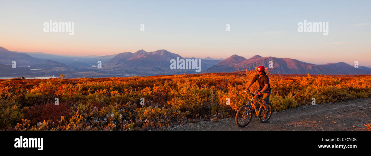 Du vélo de montagne qui descend des montagnes du Montana au coucher du soleil, Carcross, au Yukon, Canada. Banque D'Images