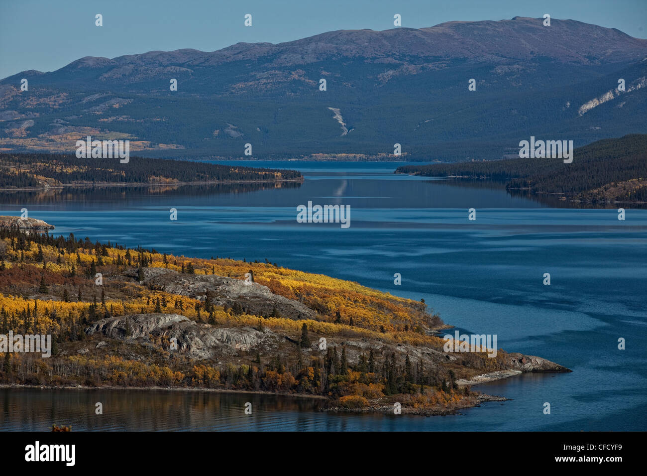 Le coin de Bove Island dans la région de Tagish Lake, Yukon, Canada. Banque D'Images