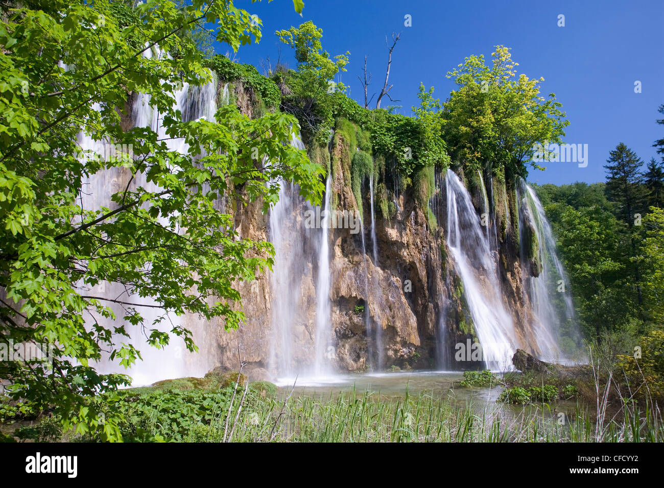 Veliki Prstavac falls, le parc national des Lacs de Plitvice (Plitvicka Jezera), UNESCO World Heritage Site, Lika-Senj, Croatie Banque D'Images