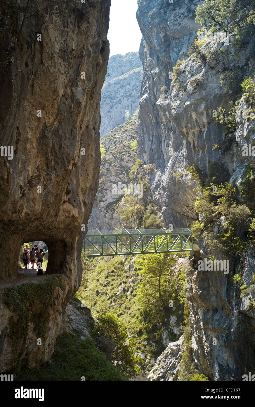 Passerelle sur la Gorges de Cares, Picos de Europa, Castilla y Leon, Spain, Europe Banque D'Images