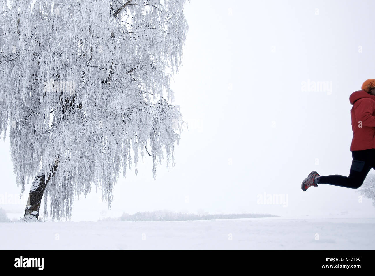 Man jogging à travers un paysage d'hiver, Irsee, Bavière, Allemagne Banque D'Images