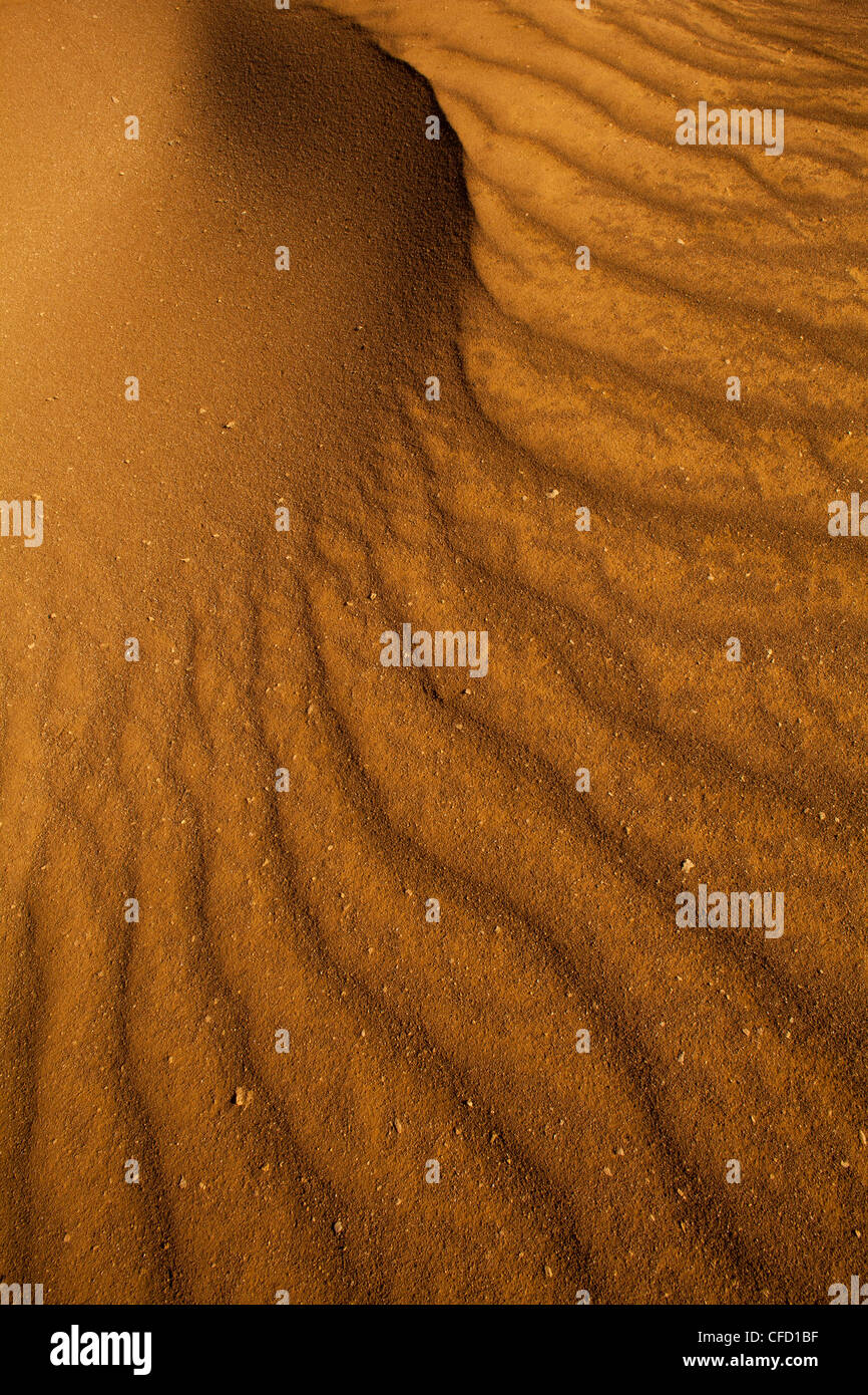 Formations de sable dans le parc national de Sarigua (désert) dans la province de Herrera, République du Panama. Banque D'Images