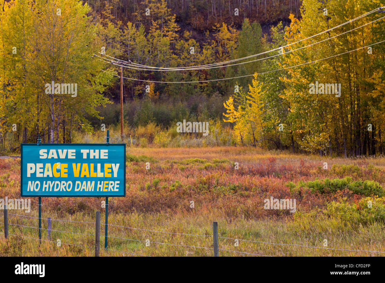 Inscrivez-protestant contre le site C dam proposé pour la rivière de la paix, le long de la route 29 dans la vallée de la paix, en Colombie-Britannique, Canada Banque D'Images