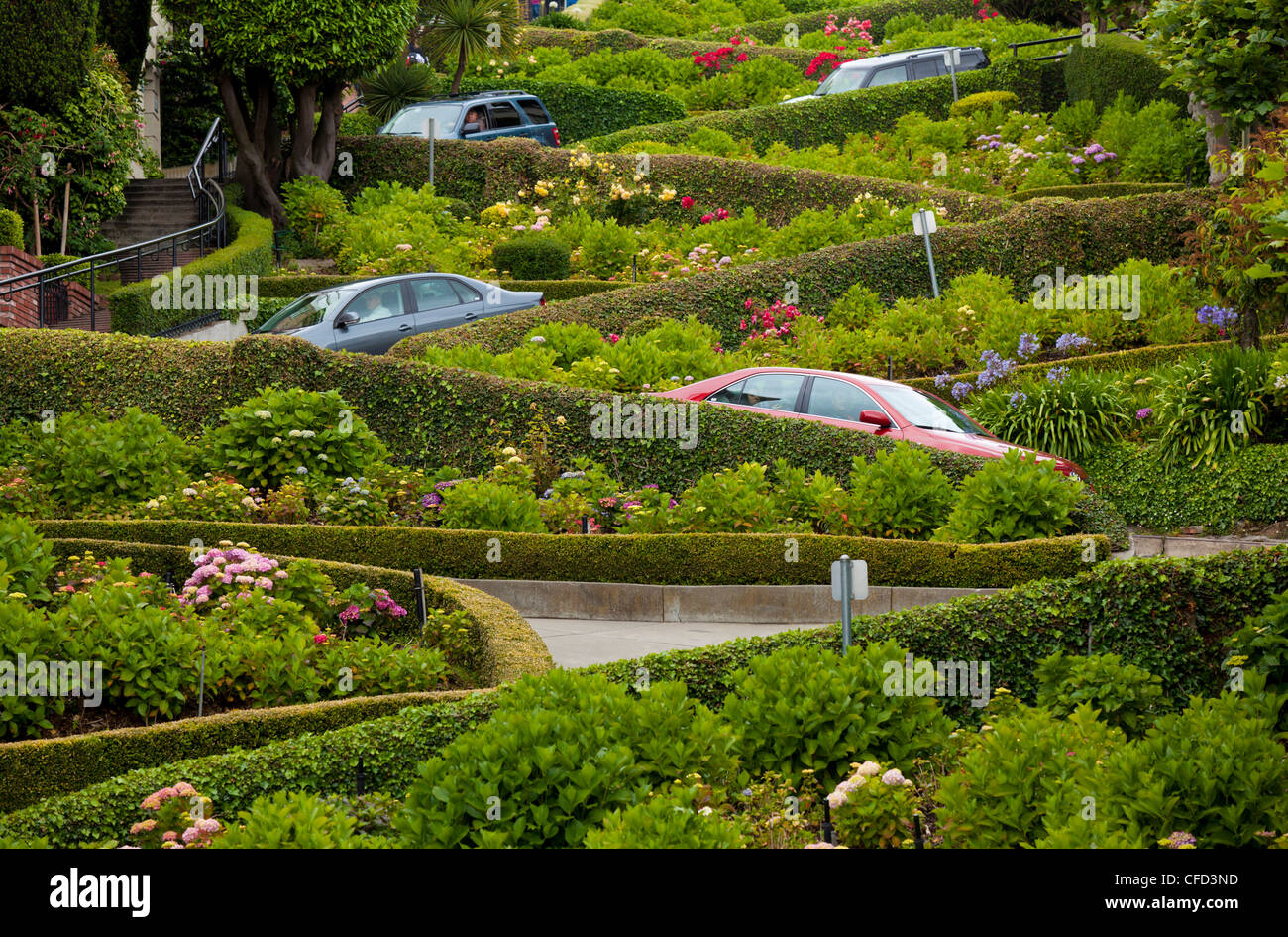Lentement le trafic vers le bas en zigzag Lombard Street, la rue la plus sinueuse dans la ville, San Francisco, California, USA Banque D'Images