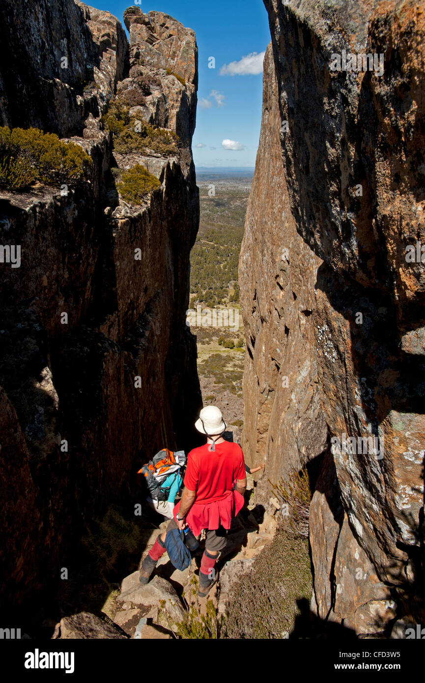 De décent Solomons trône, murs de Jérusalem Parc National, la nature mondiale de l'UNESCO Site, Tasmanie, Australie Banque D'Images