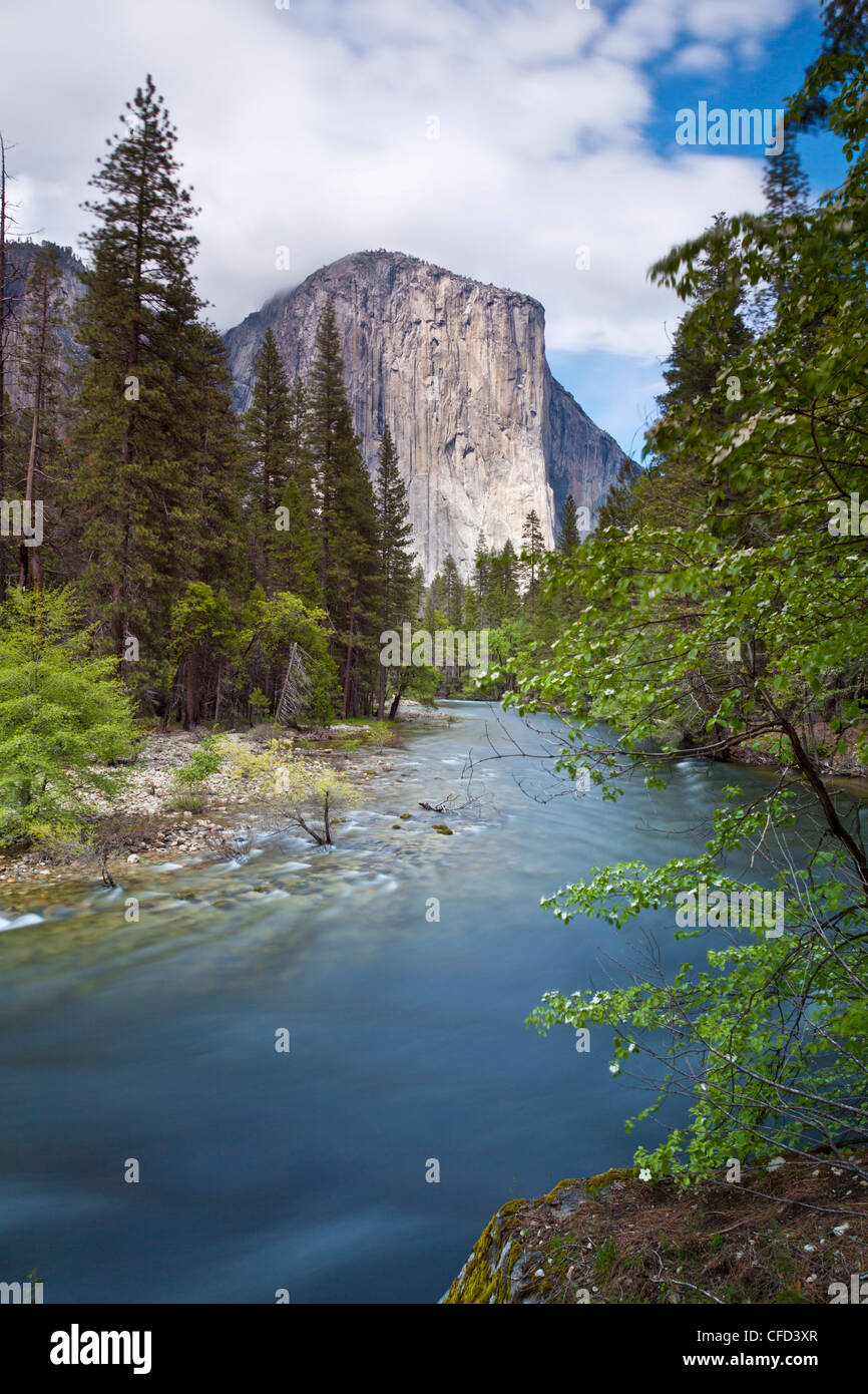 El Capitan, Yosemite National Park, la Sierra Nevada, Californie, USA Banque D'Images