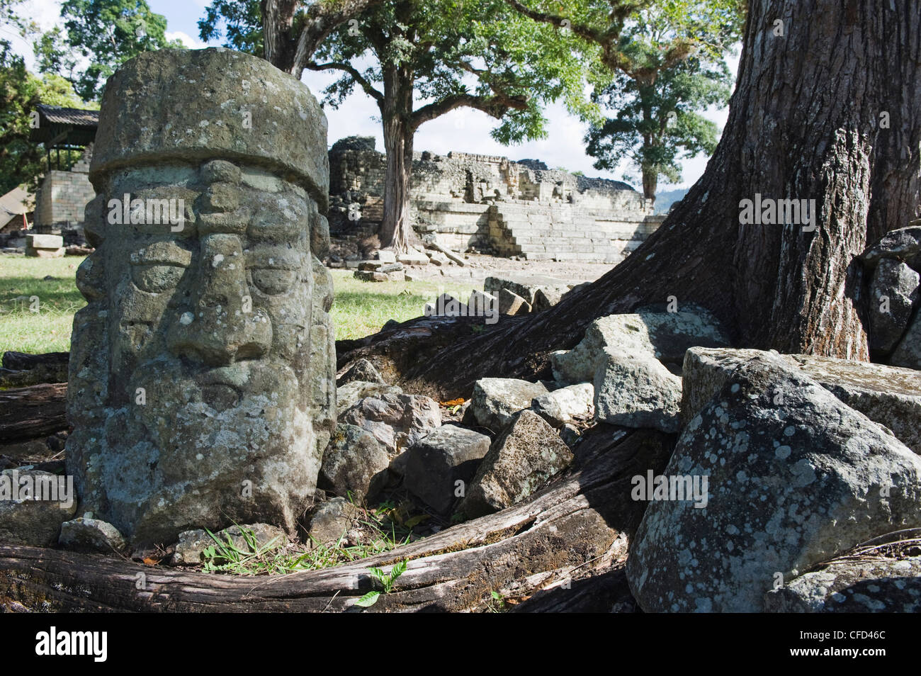Tête Sculptée en pierre site archéologique maya de Copan, ruines, UNESCO World Heritage Site, Honduras, Amérique Centrale Banque D'Images