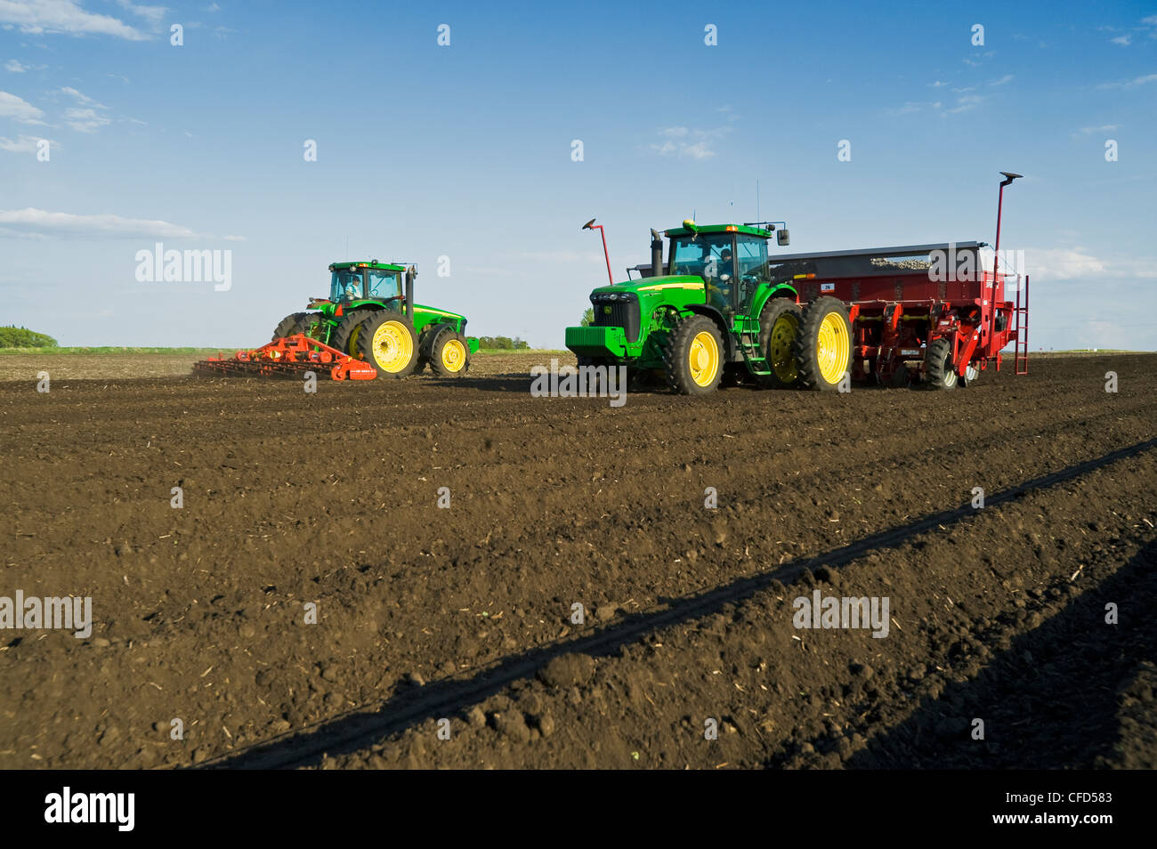 La préparation de terrain et plantation des pommes de terre, près de Cypress River, Manitoba, Canada Banque D'Images