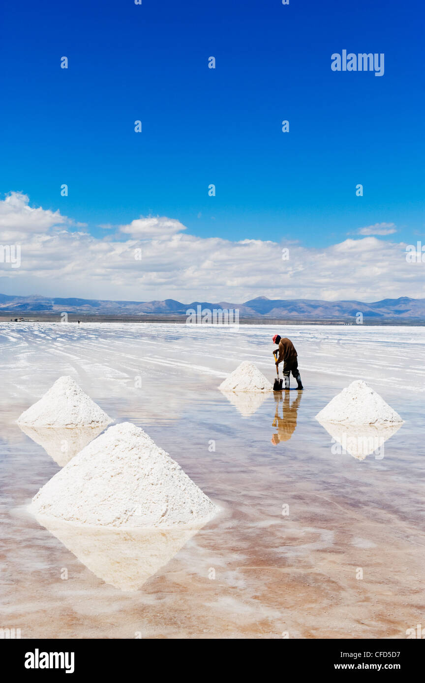 L'homme de recueillir le sel, Salir de Uyuni, salines, Bolivie, Amérique du Sud Banque D'Images