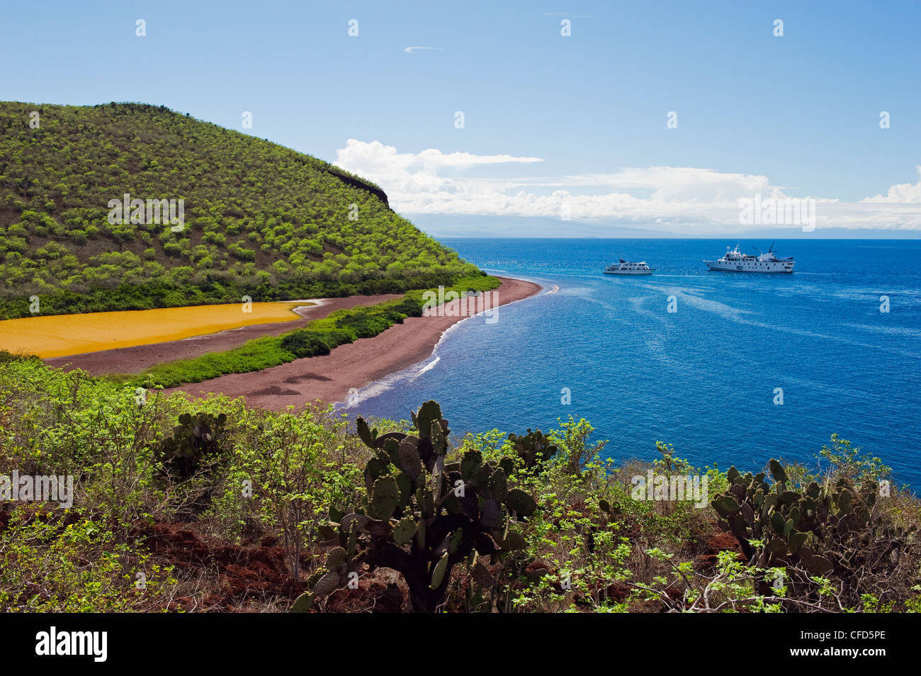 Îles Galápagos, UNESCO World Heritage Site, Equateur, Amérique du Sud Banque D'Images