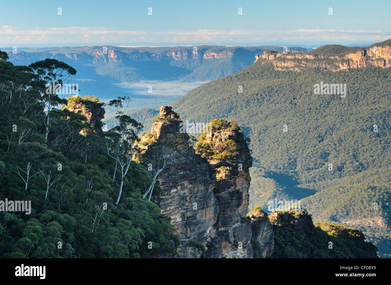 Les soeurs,et vallée Jamison, Blue Mountains, Blue Mountains National Park, New South Wales, Australie Banque D'Images