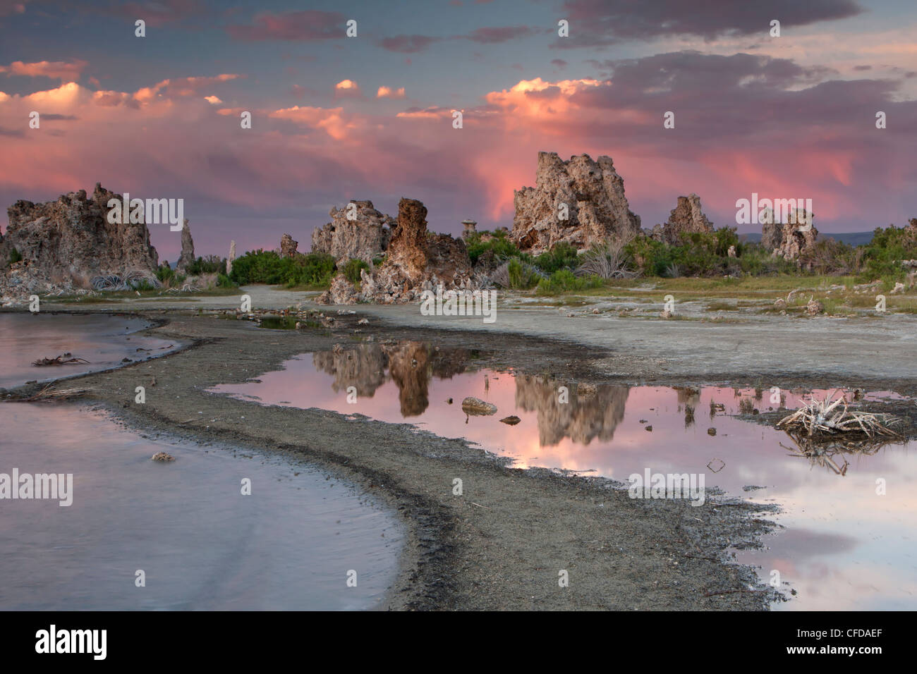 Tufas (carbonate de calcium formations rocheuses) au coucher du soleil, le lac Mono, Lee Vining, California, USA Banque D'Images