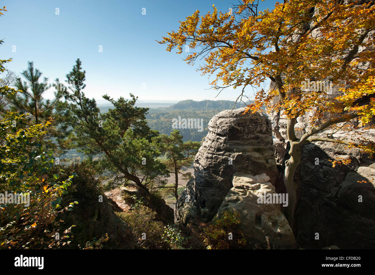 Saxon-Switzerland National Park, Saxe, Allemagne, Europe Banque D'Images