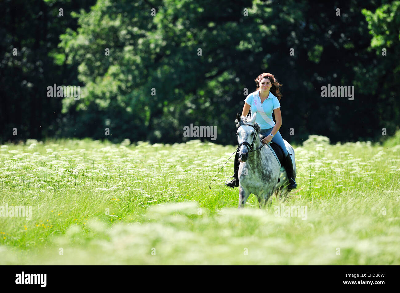 Woman riding a cheval dans un pré, vallée de l'Inn, Upper Bavaria, Bavaria, Germany Banque D'Images