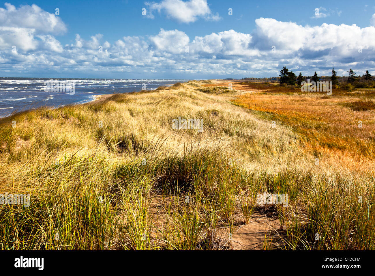 Dune de sable donnant sur le détroit de Northumberland, Cap-Pelé,  Nouveau-Brunswick, Canada Photo Stock - Alamy