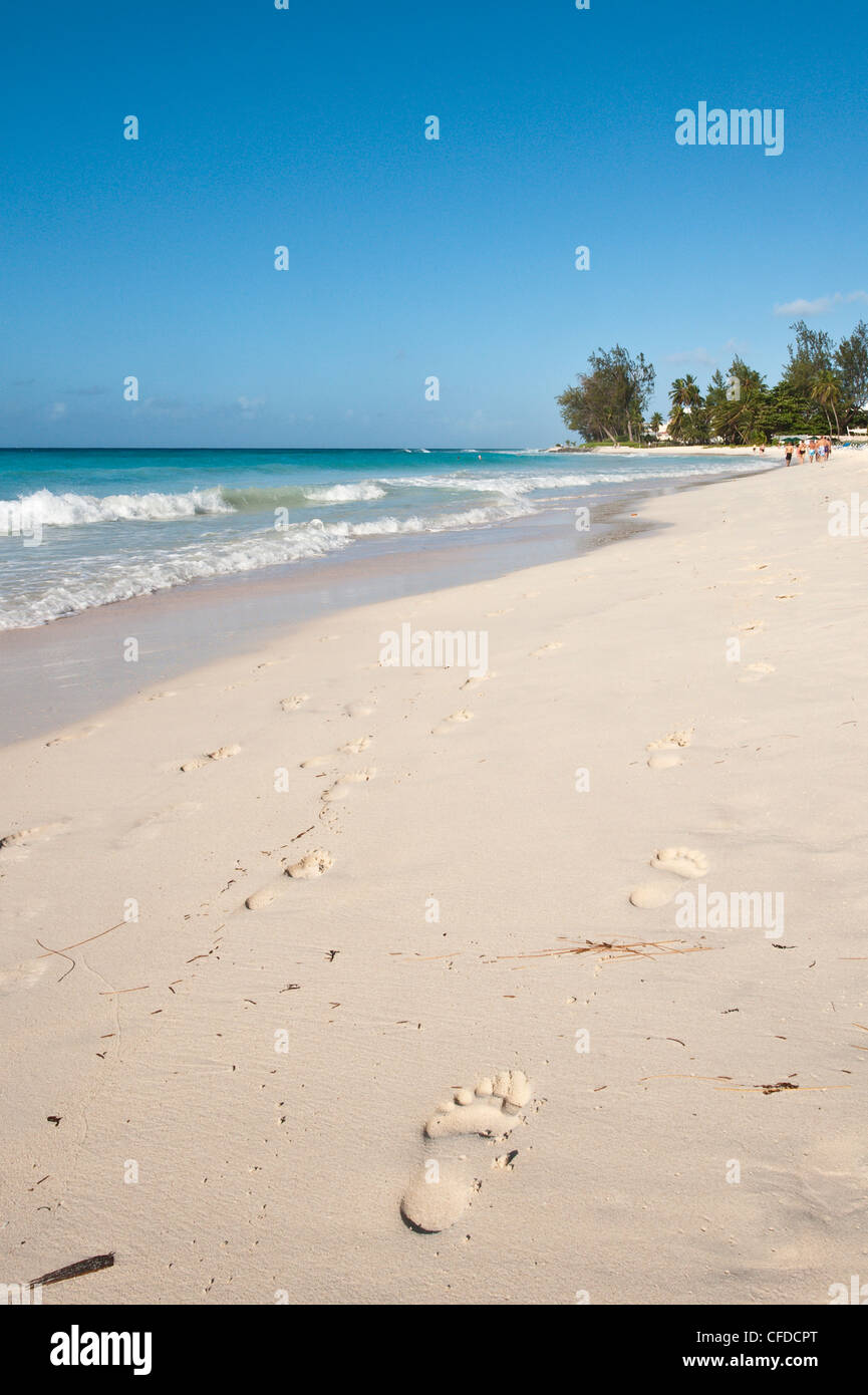 Rockley Beach, Barbade, îles du Vent, Antilles, Caraïbes, Amérique Centrale Banque D'Images