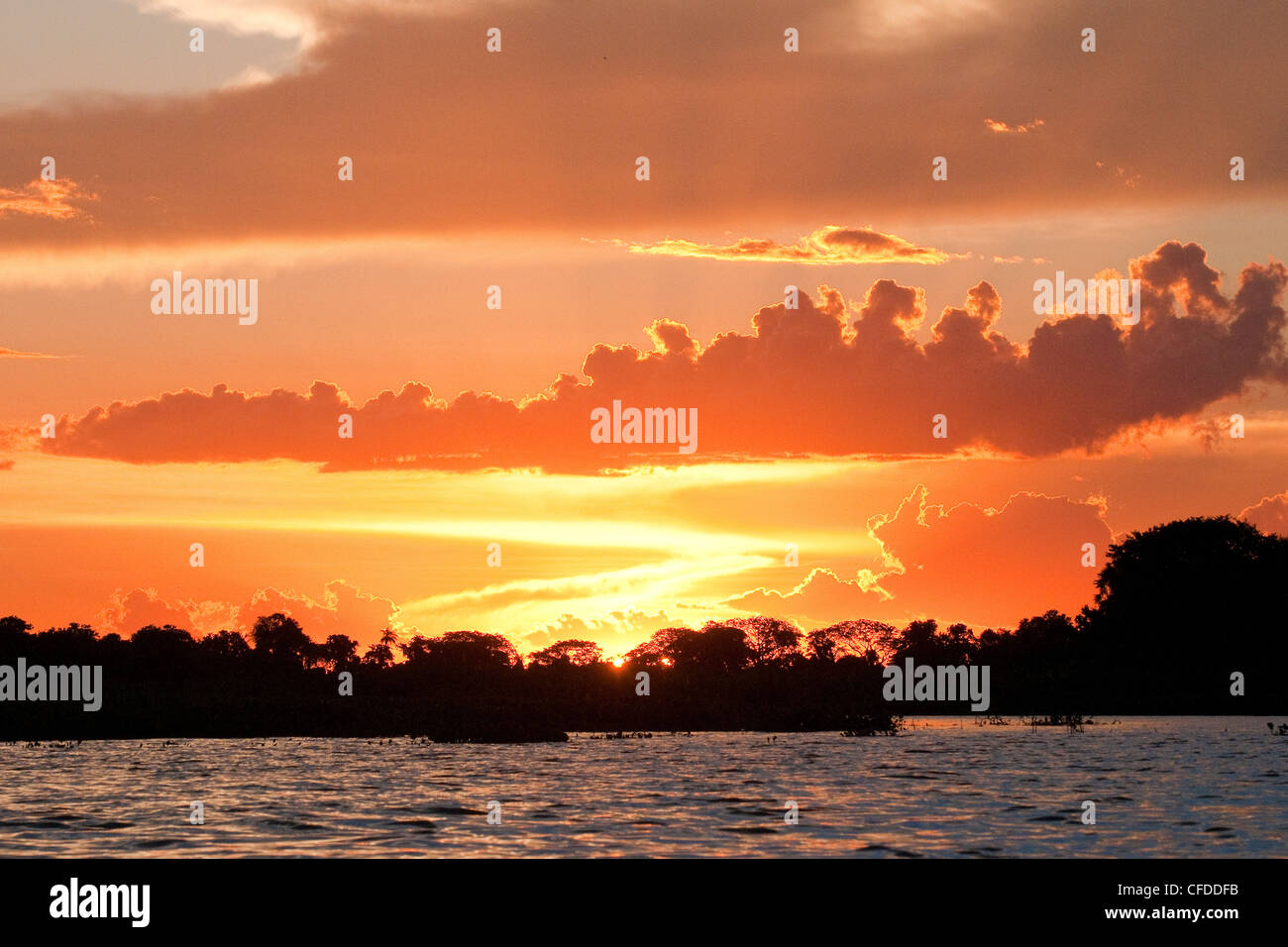 Le coucher du soleil, les zones humides du Pantanal, au sud-ouest de l'Amérique du Sud, Brésil Banque D'Images
