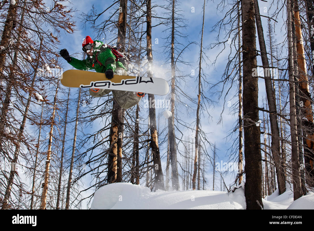 Un surfeur est diffusé sur un oreiller de neige tandis que sur un voyage de ski de chat. Montagnes Monashee, Vernon, British Columbia, Canada Banque D'Images