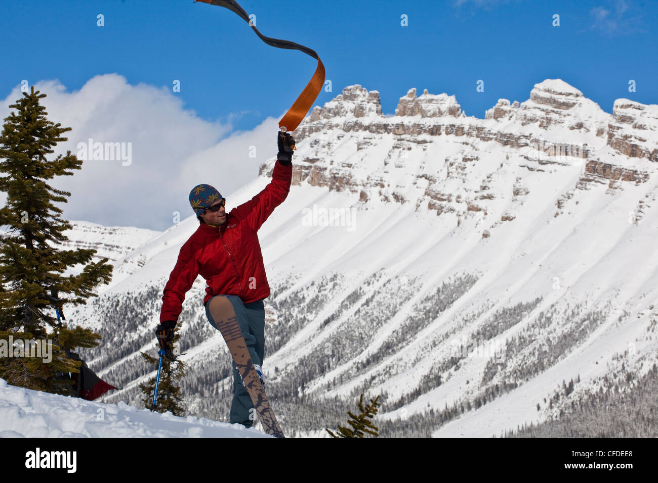 Un homme ôte son ski skins pour l'état, les Icefields Parkway, Alberta, Canada Banque D'Images