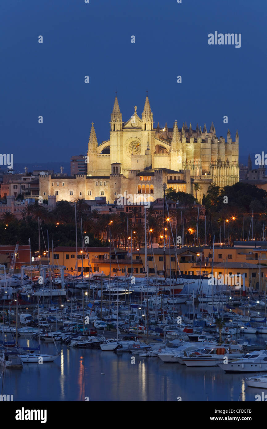 Vue sur le port, la cathédrale La Seu et palais Palau de l'Almudaina, Palma de Mallorca, Majorque, Iles Baléares, Espagne, Europe Banque D'Images